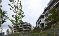 Gabionové ploty, zdi a obklady – moderní a odolné řešení pro zahradu a fasádu | GabionyHappy.cz